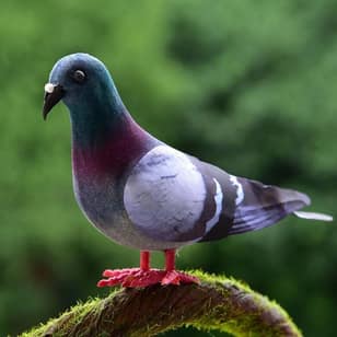 1/5/8pcs Simulation Foam Pigeon Model Fake Artificial Imitation Bird Animal Home Garden Ornament Miniature Decoration